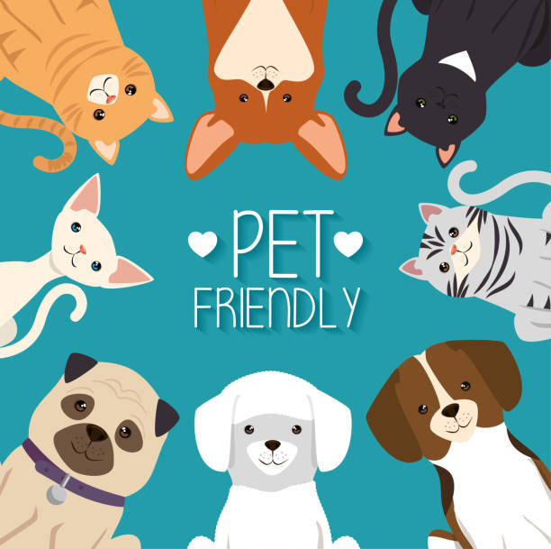 Bergen County Animal Shelter in Teterboro, NJ.